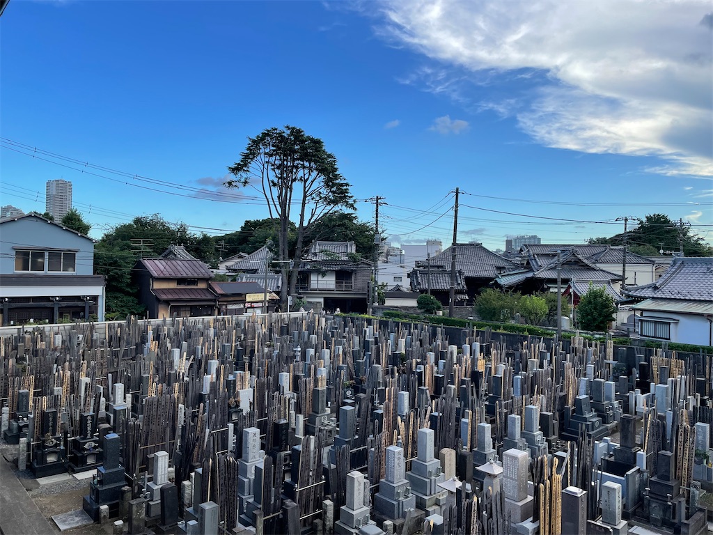 f:id:TokuheiKumagai:20220728200355j:image