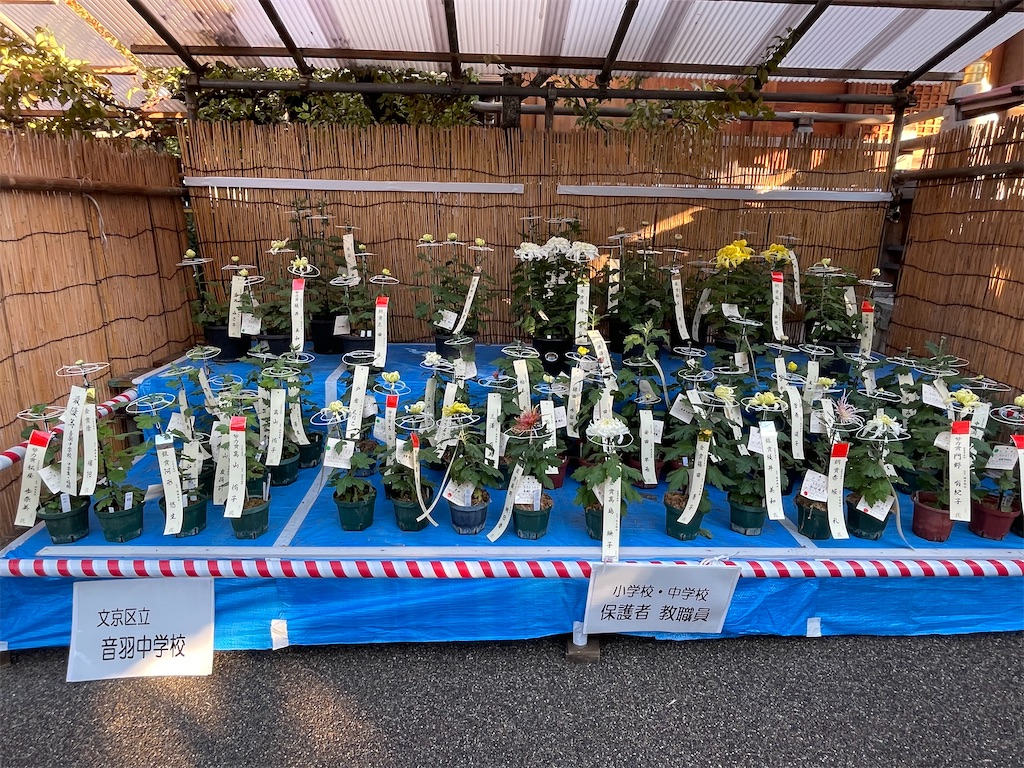 f:id:TokuheiKumagai:20221106163321j:image