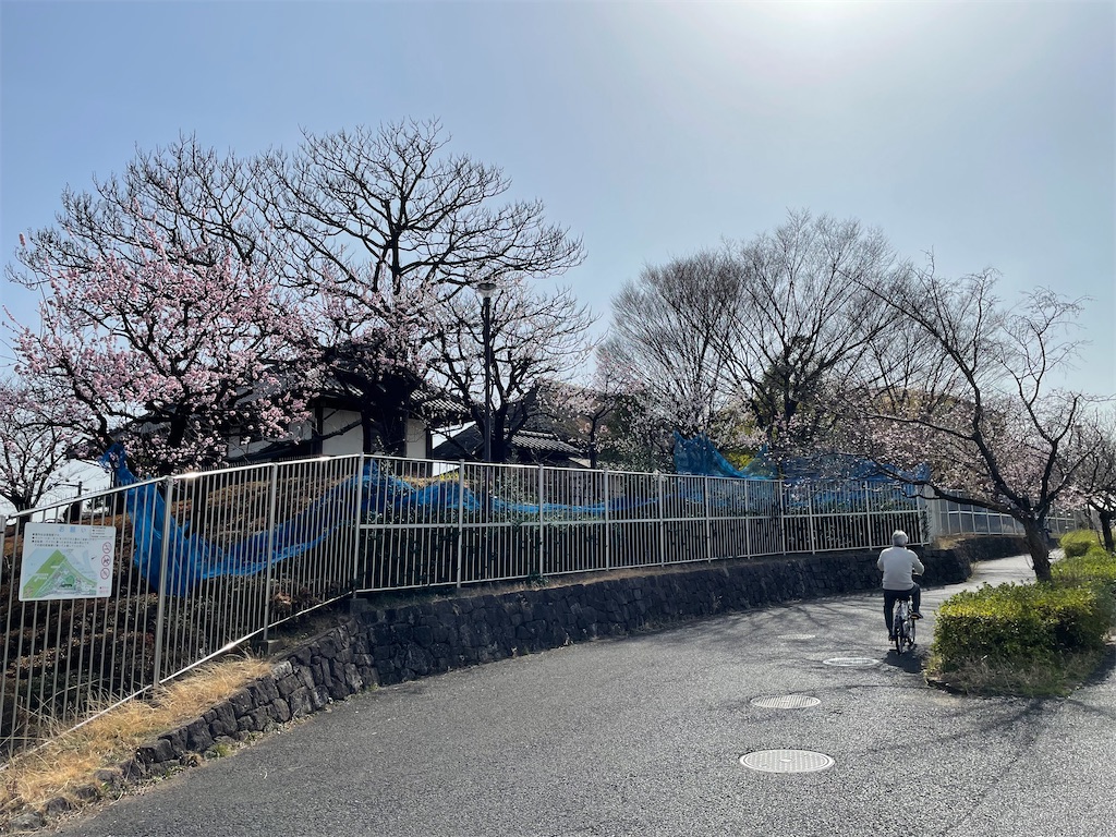 f:id:TokuheiKumagai:20230312140906j:image