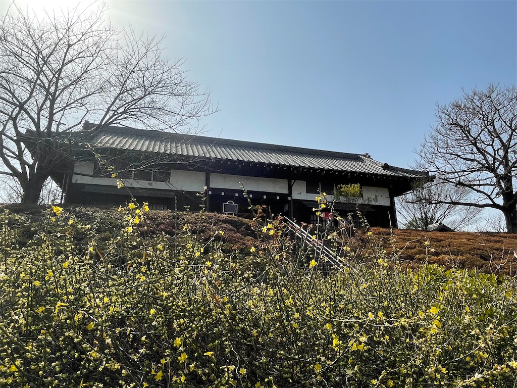 f:id:TokuheiKumagai:20230312140912j:image