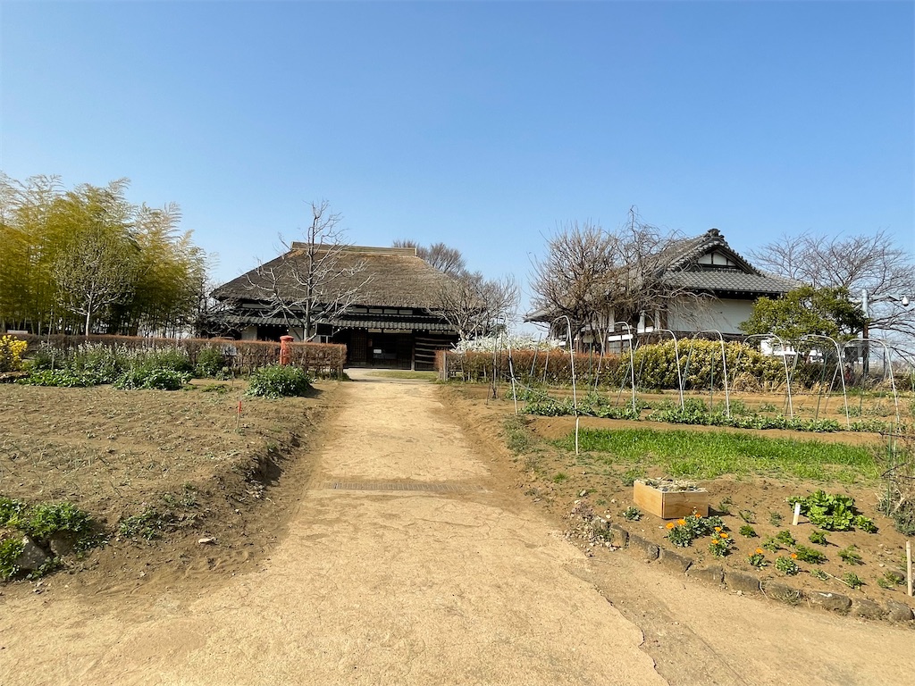 f:id:TokuheiKumagai:20230312140916j:image