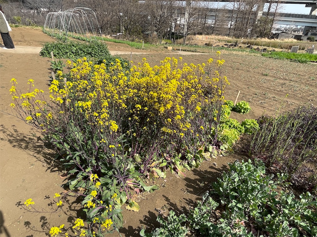 f:id:TokuheiKumagai:20230312140919j:image