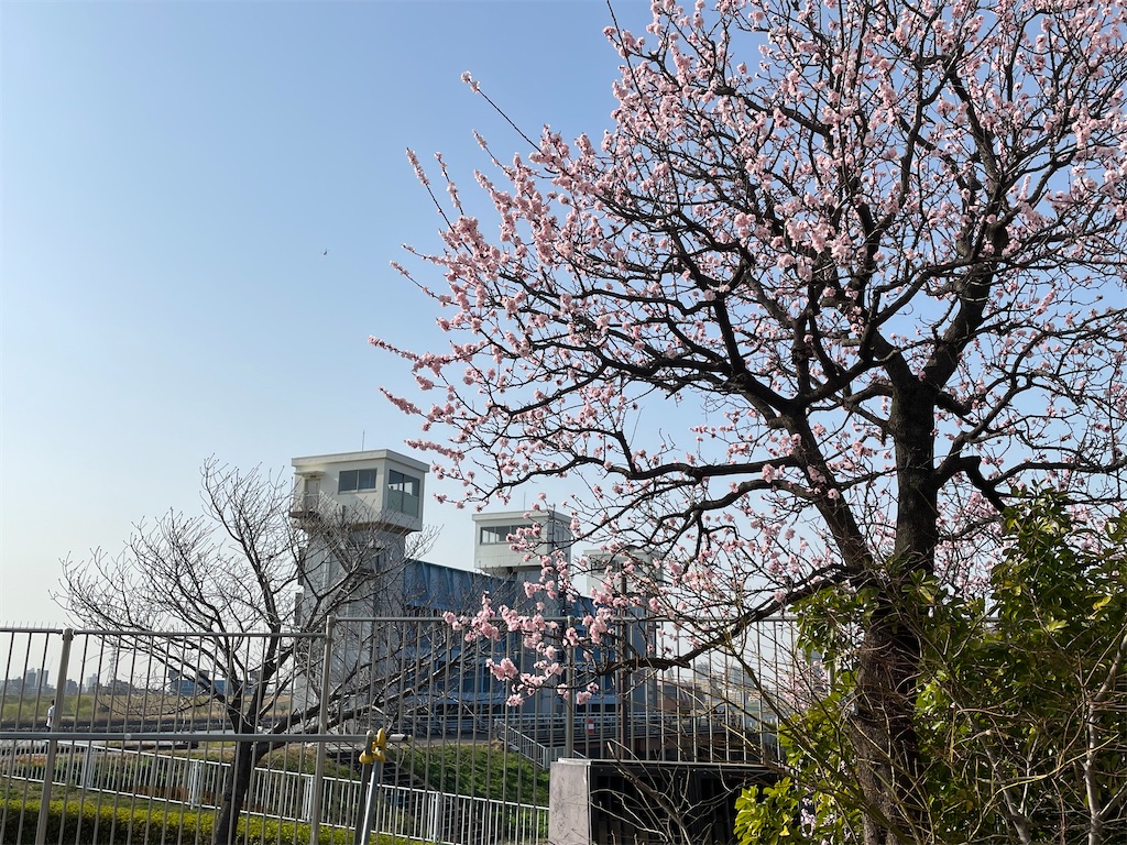 f:id:TokuheiKumagai:20230312140932j:image