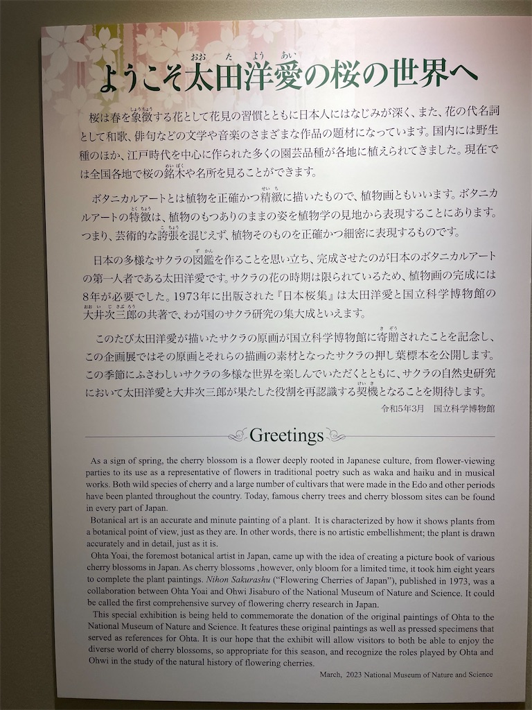 f:id:TokuheiKumagai:20230409204220j:image