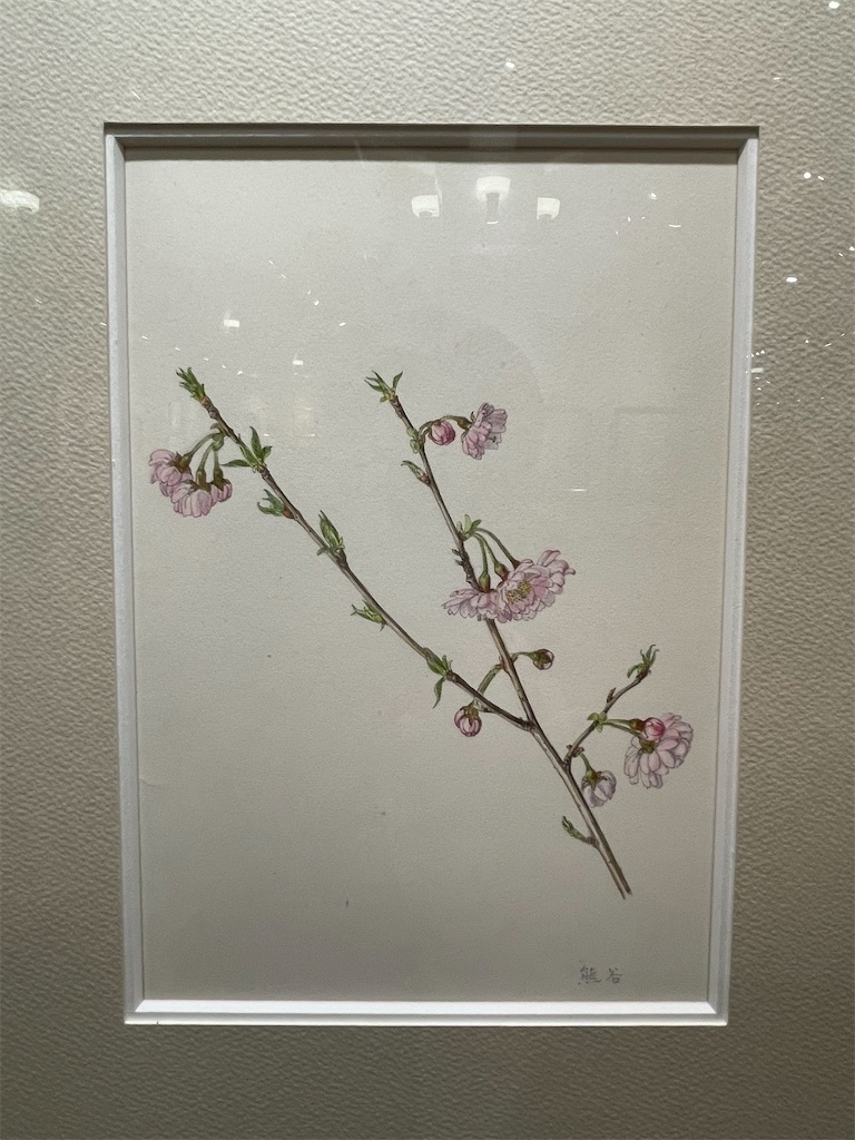 f:id:TokuheiKumagai:20230409204245j:image