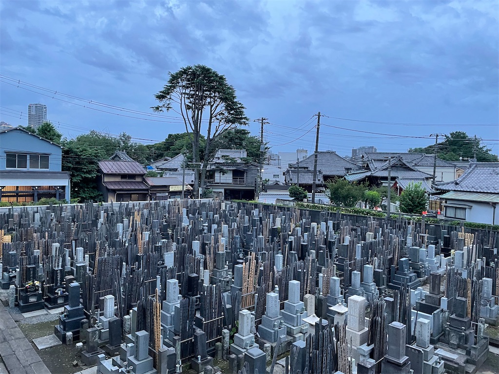 f:id:TokuheiKumagai:20230701214243j:image