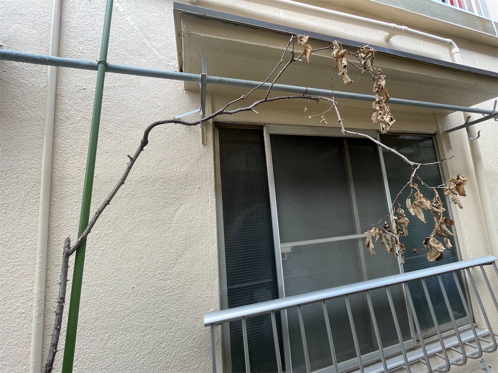 f:id:TokuheiKumagai:20230713130043j:image