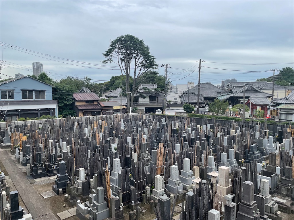 f:id:TokuheiKumagai:20230713150203j:image