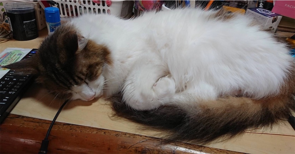 f:id:TokuheiKumagai:20230816130730j:image