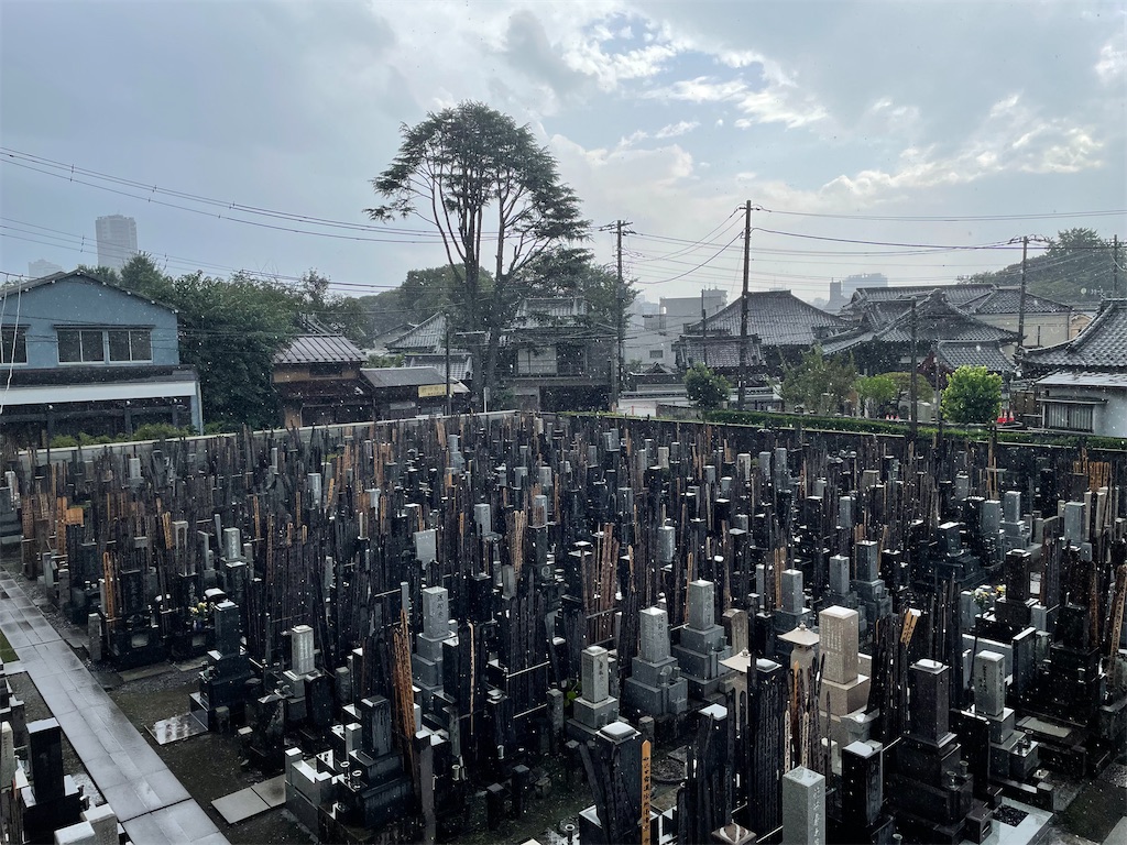 f:id:TokuheiKumagai:20230915153320j:image