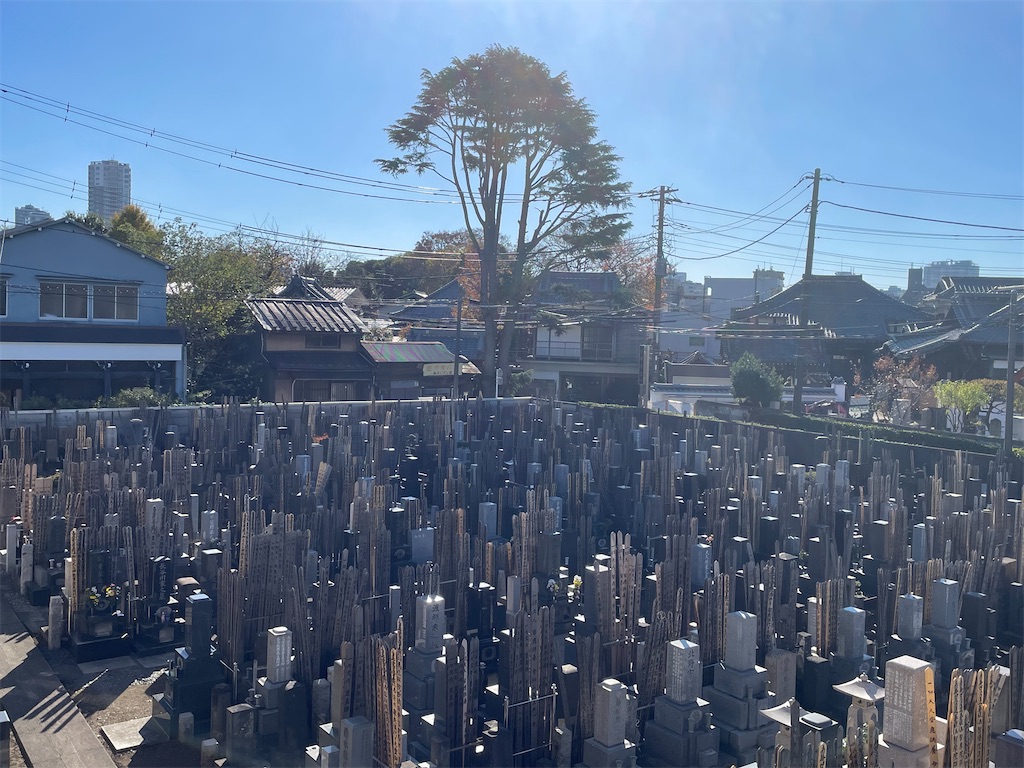 f:id:TokuheiKumagai:20231202191844j:image