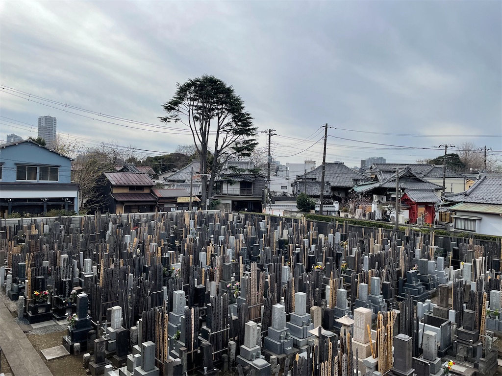 f:id:TokuheiKumagai:20240103110912j:image