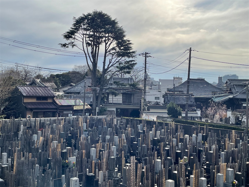 f:id:TokuheiKumagai:20240111153433j:image