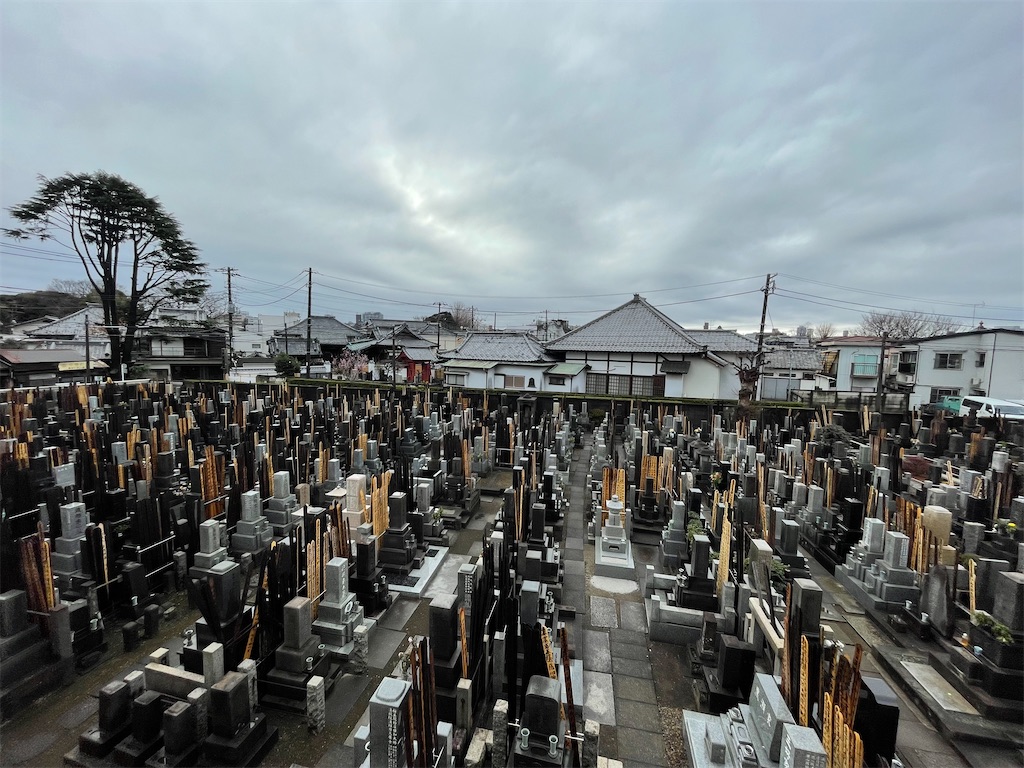 f:id:TokuheiKumagai:20240121174542j:image