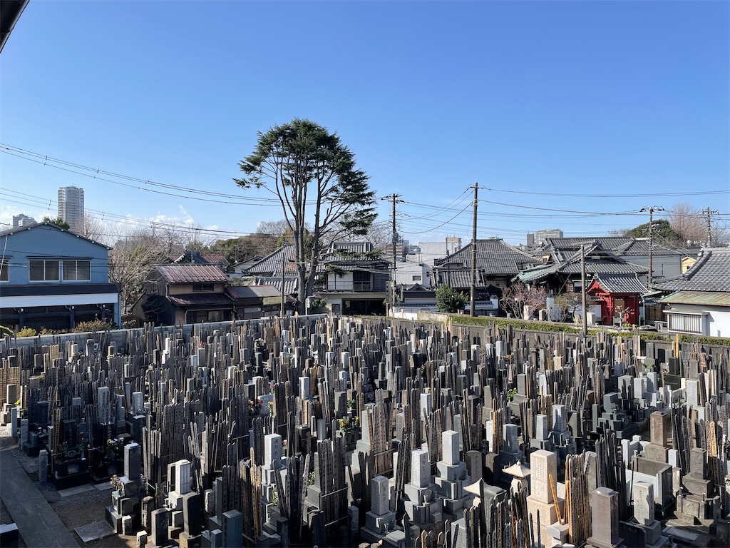 f:id:TokuheiKumagai:20240318132027j:image