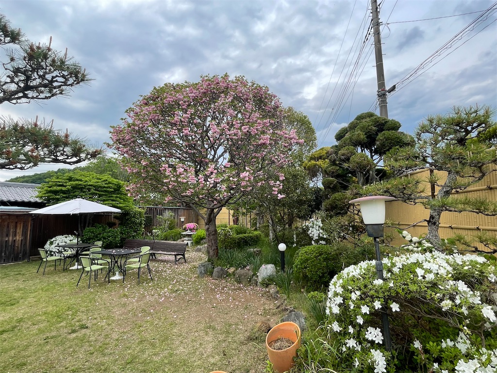 f:id:TokuheiKumagai:20240428153652j:image