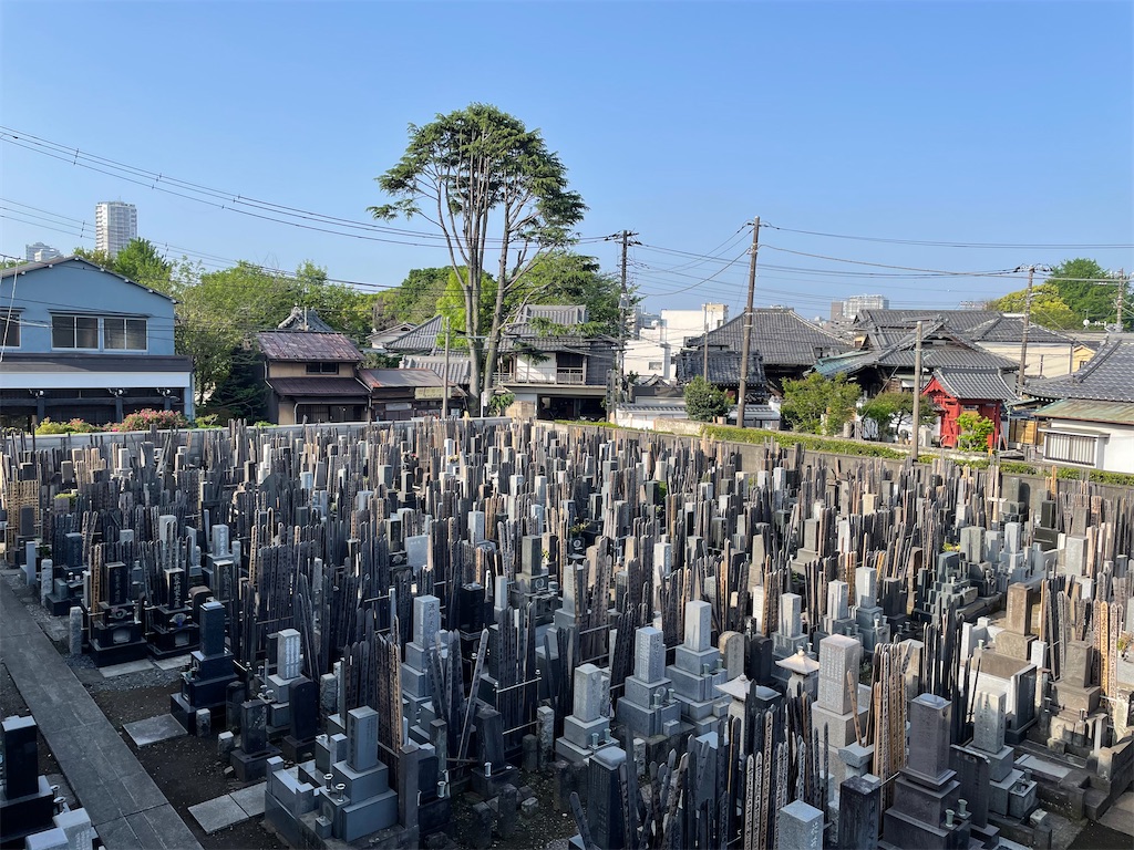 f:id:TokuheiKumagai:20240428155027j:image