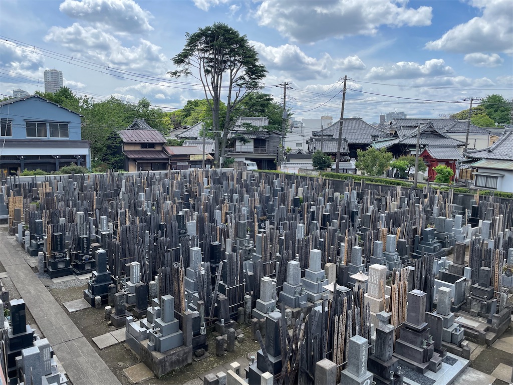 f:id:TokuheiKumagai:20240502121414j:image