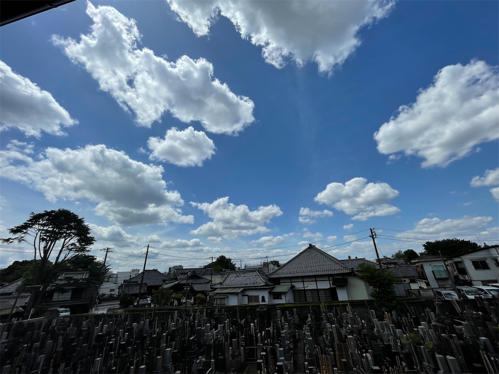 f:id:TokuheiKumagai:20240502121419j:image