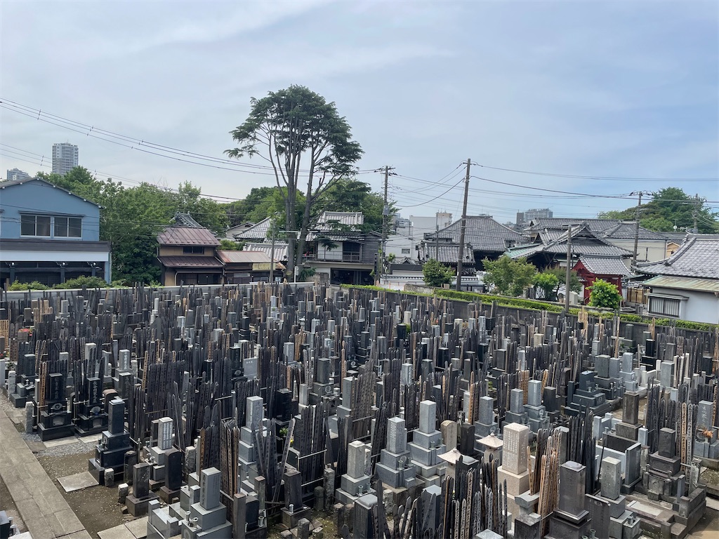f:id:TokuheiKumagai:20240514115715j:image