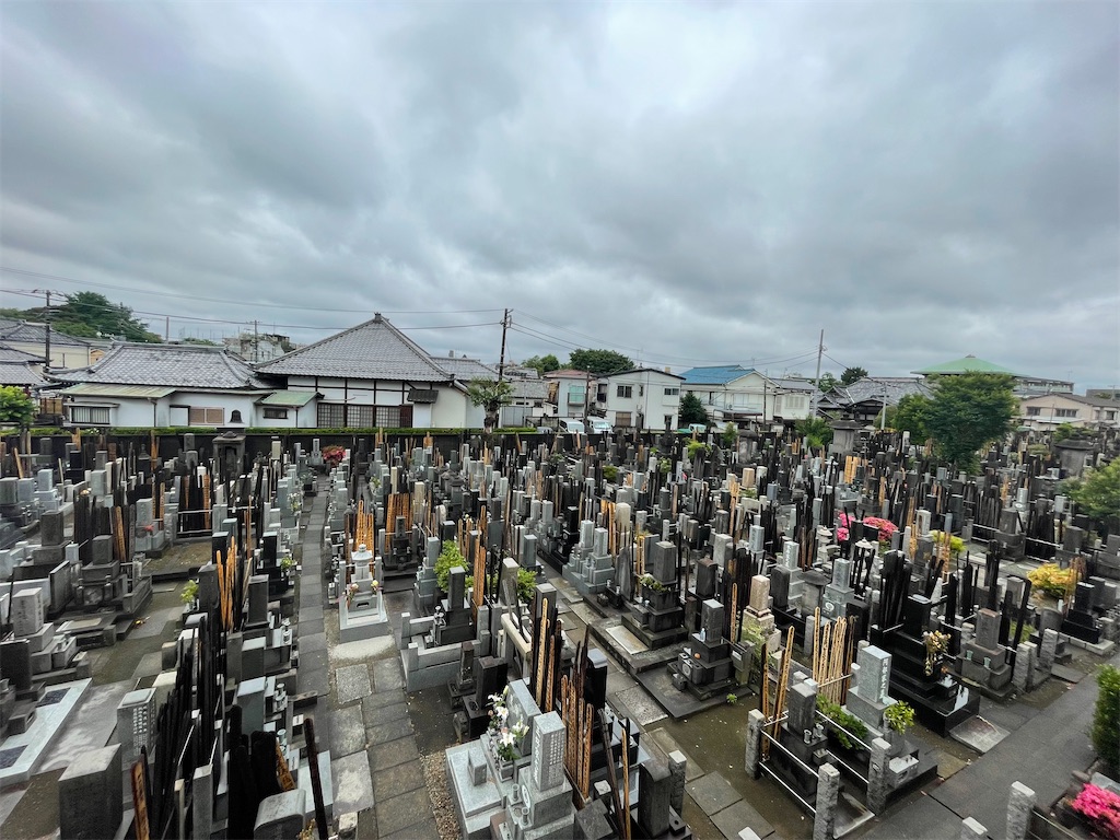f:id:TokuheiKumagai:20240531110208j:image