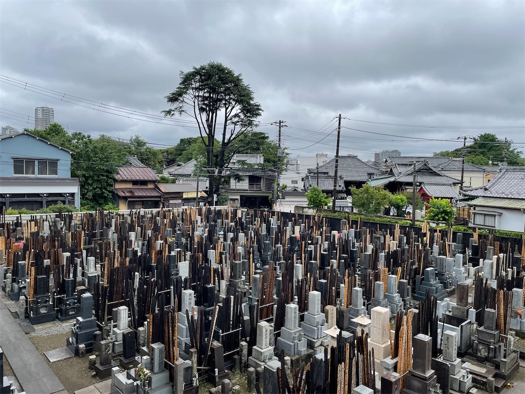 f:id:TokuheiKumagai:20240531110210j:image