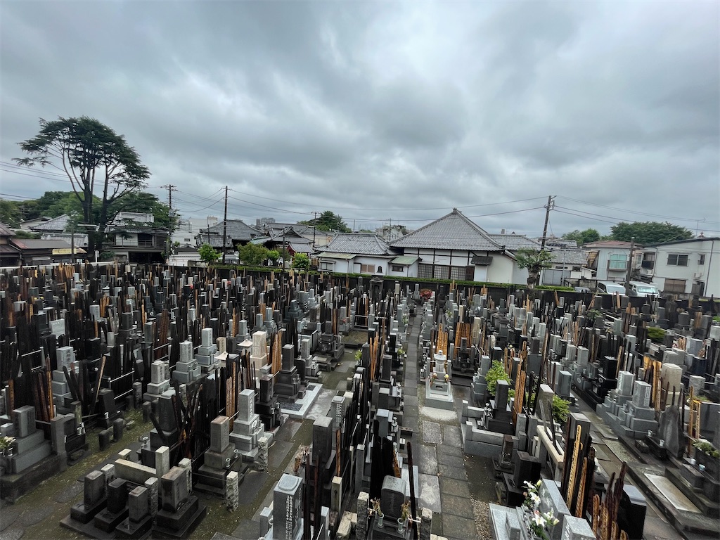f:id:TokuheiKumagai:20240531110213j:image