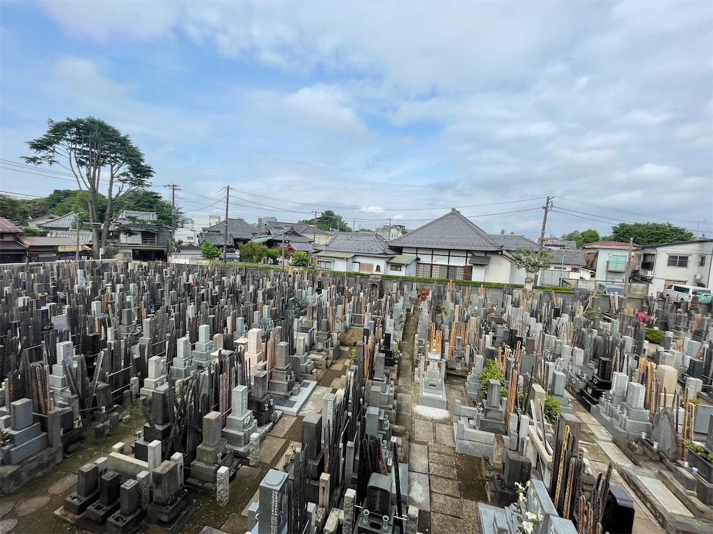 f:id:TokuheiKumagai:20240602104848j:image
