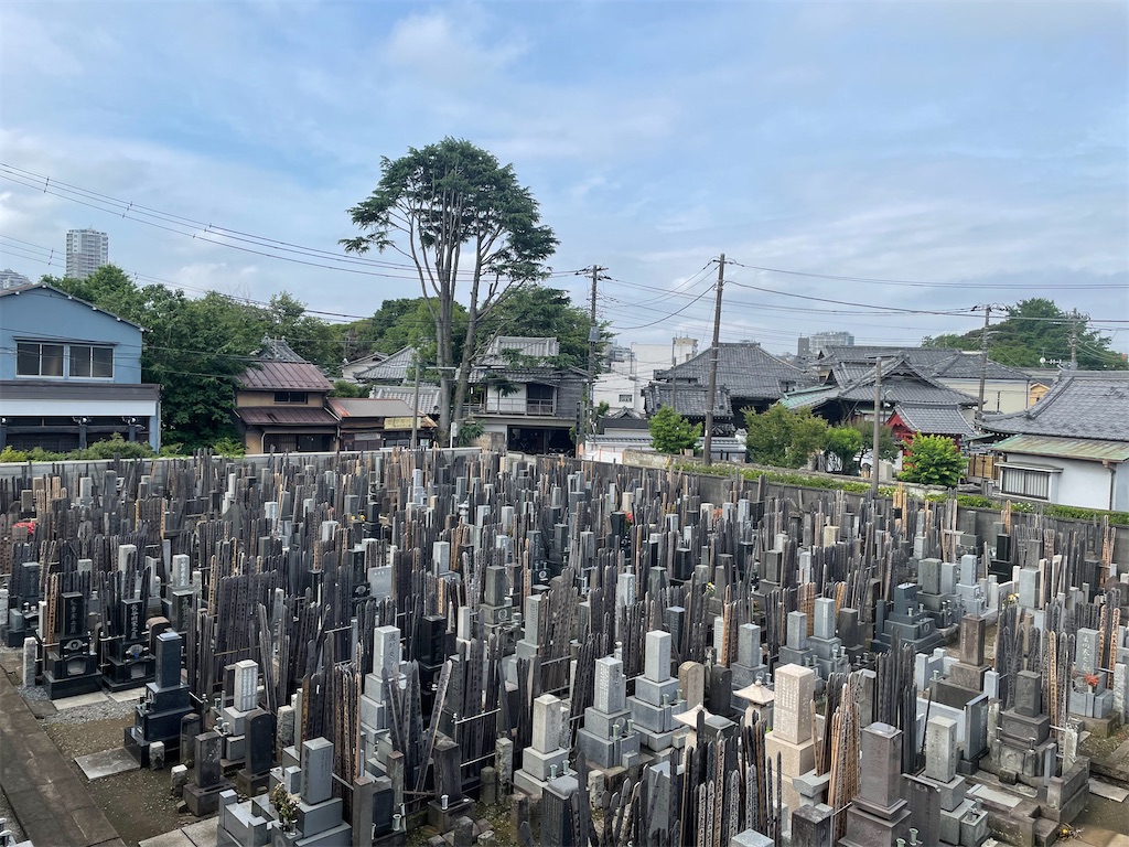 f:id:TokuheiKumagai:20240602104851j:image