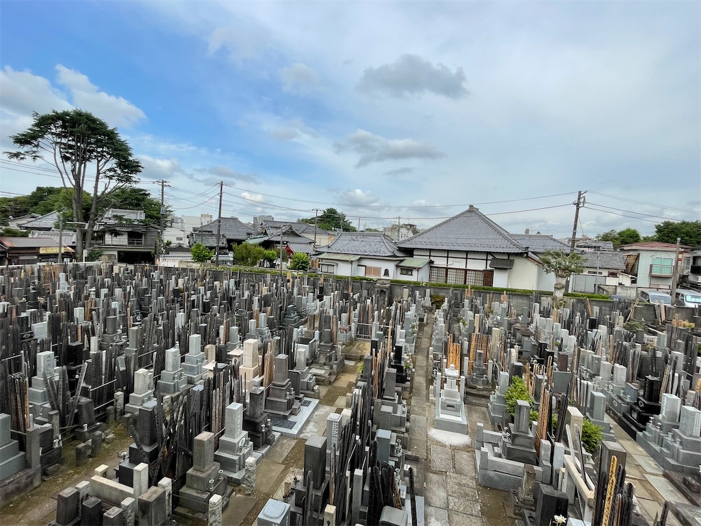 f:id:TokuheiKumagai:20240607082548j:image
