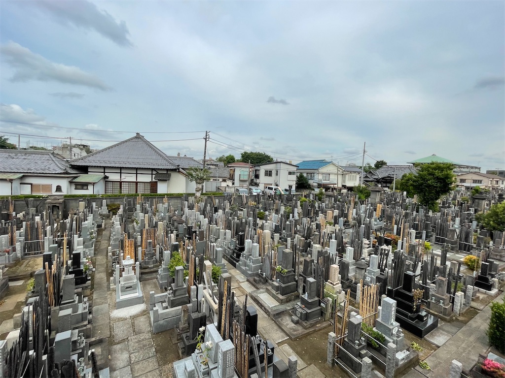 f:id:TokuheiKumagai:20240607082551j:image