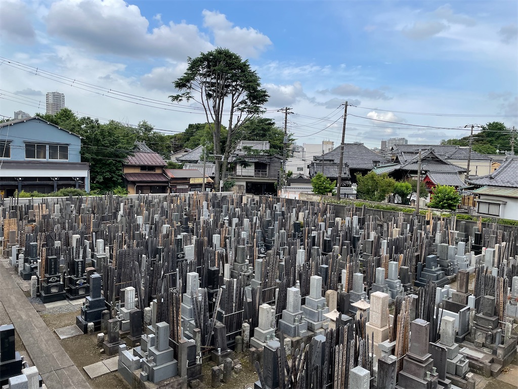f:id:TokuheiKumagai:20240607082553j:image