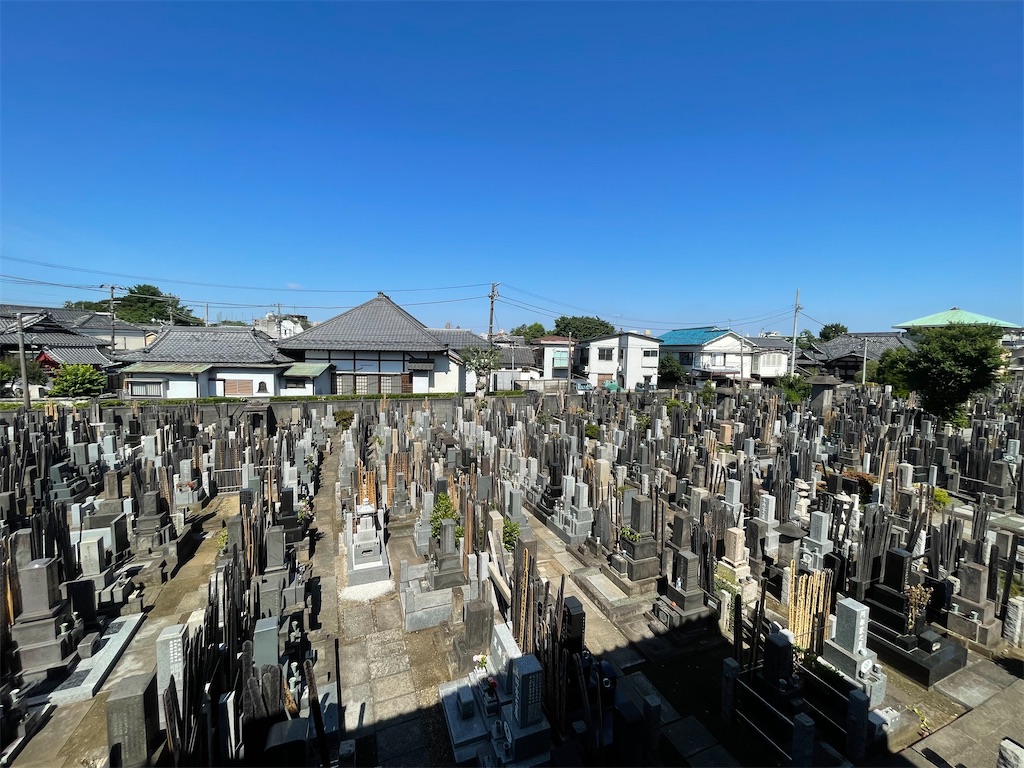 f:id:TokuheiKumagai:20240608204140j:image