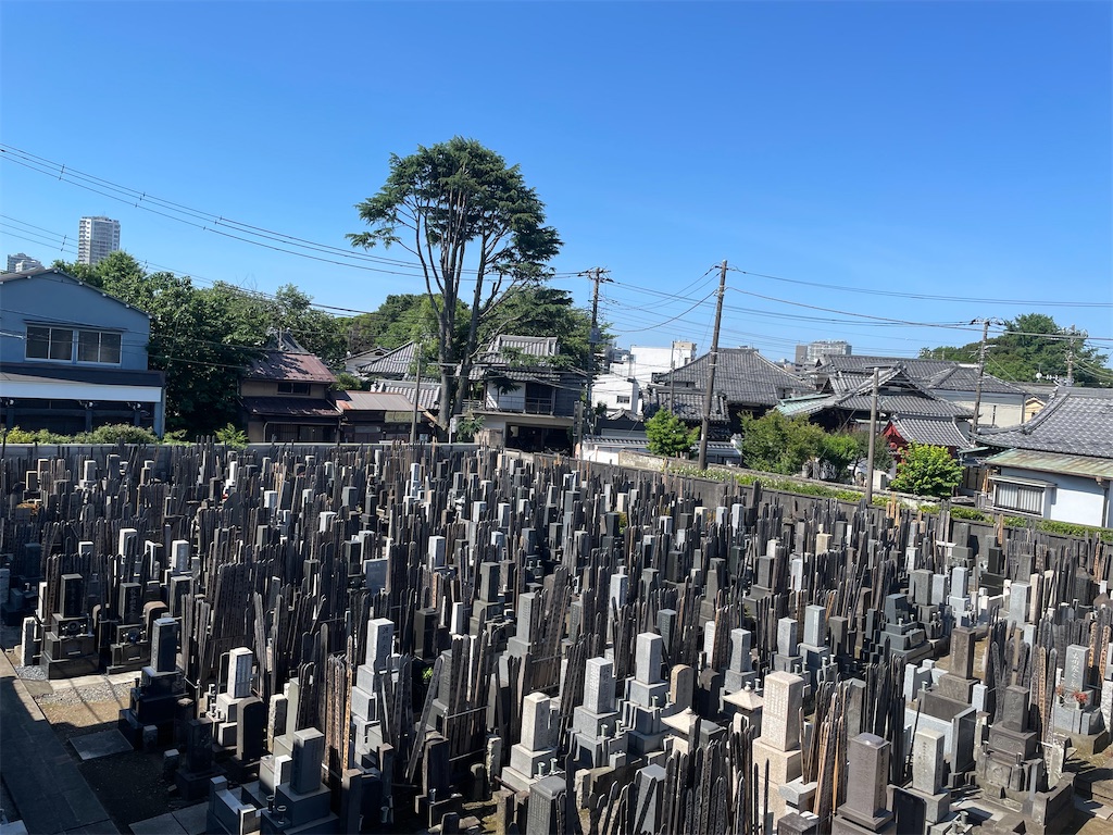 f:id:TokuheiKumagai:20240608204203j:image