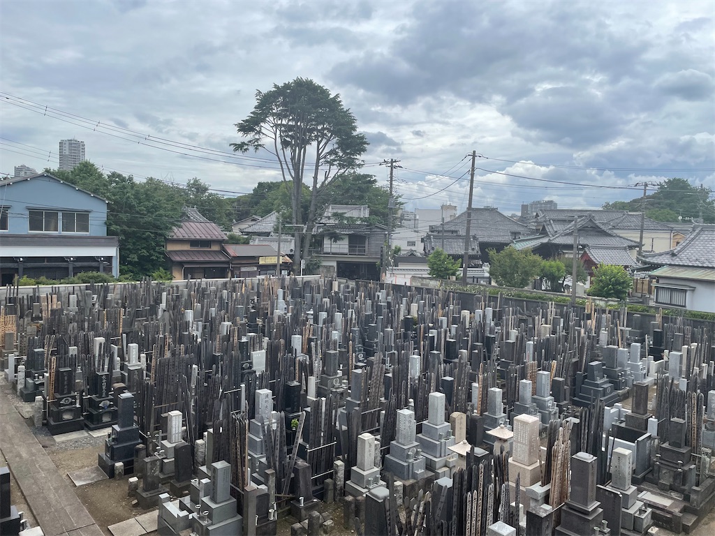 f:id:TokuheiKumagai:20240609171949j:image