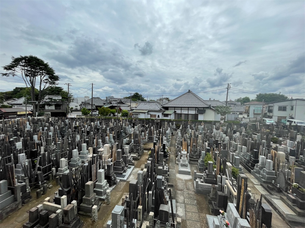 f:id:TokuheiKumagai:20240609171955j:image