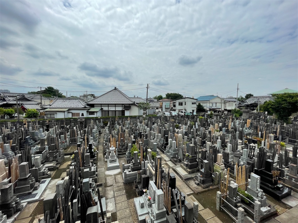 f:id:TokuheiKumagai:20240610142904j:image