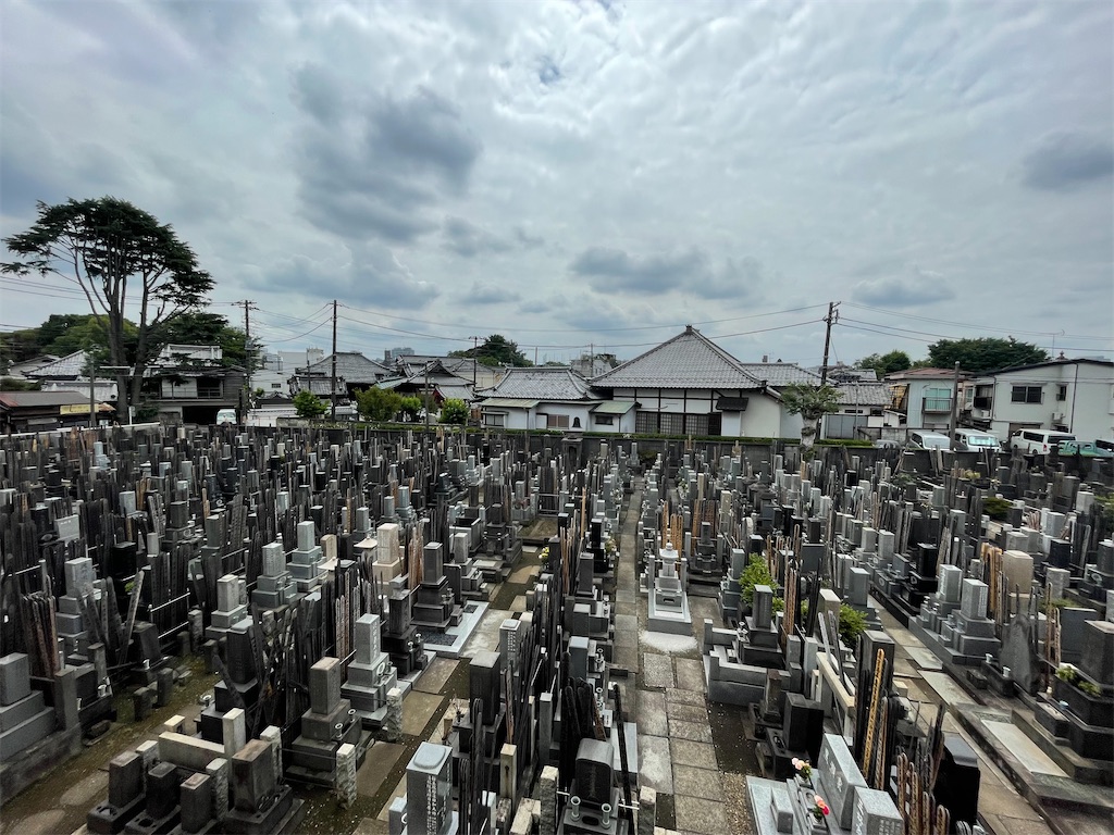 f:id:TokuheiKumagai:20240610142907j:image
