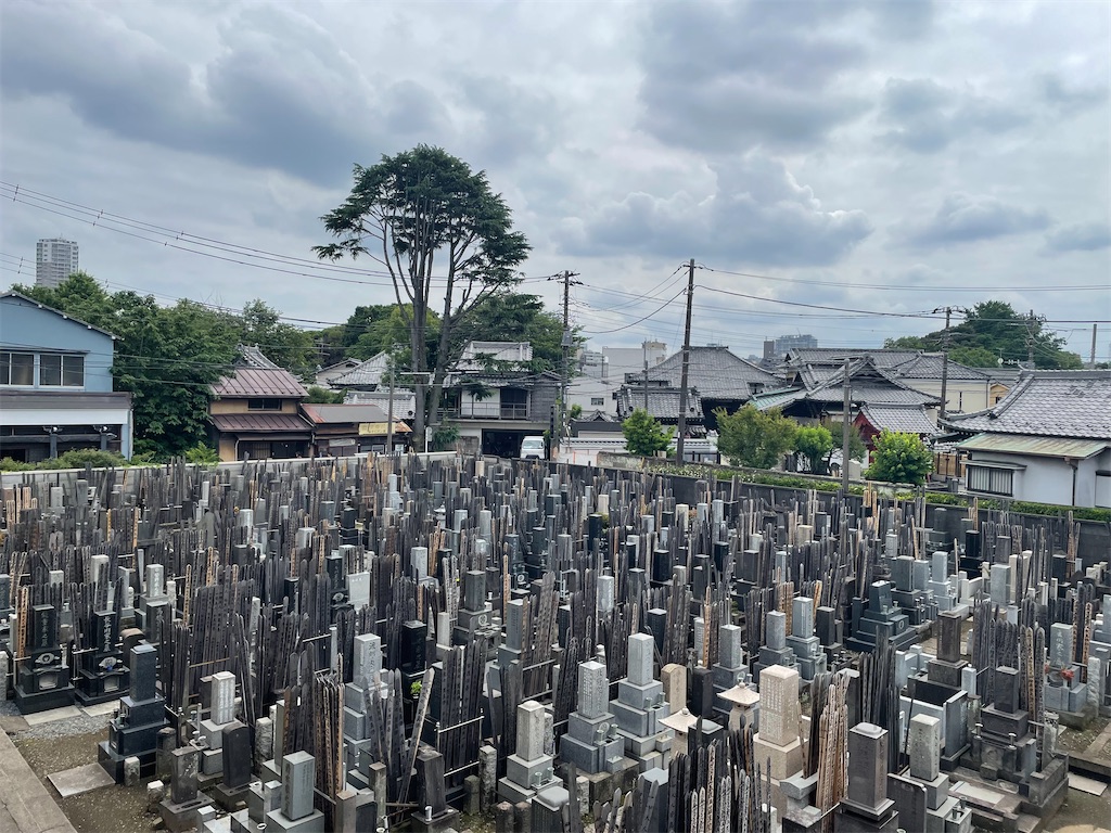 f:id:TokuheiKumagai:20240610142918j:image