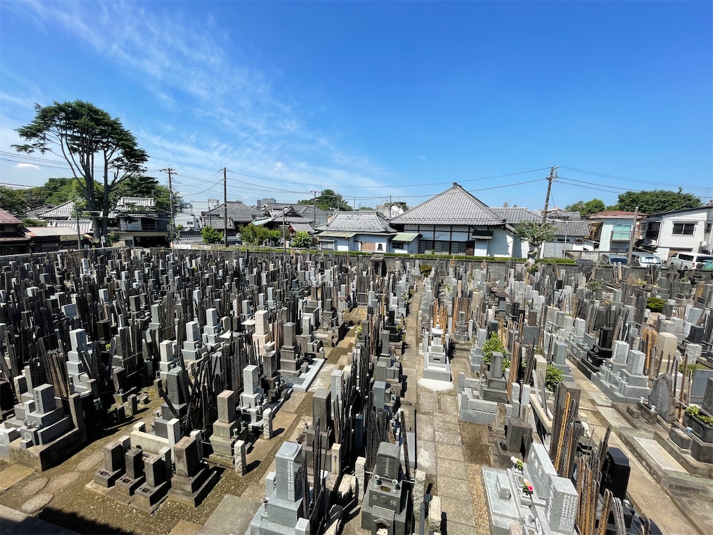 f:id:TokuheiKumagai:20240611210225j:image