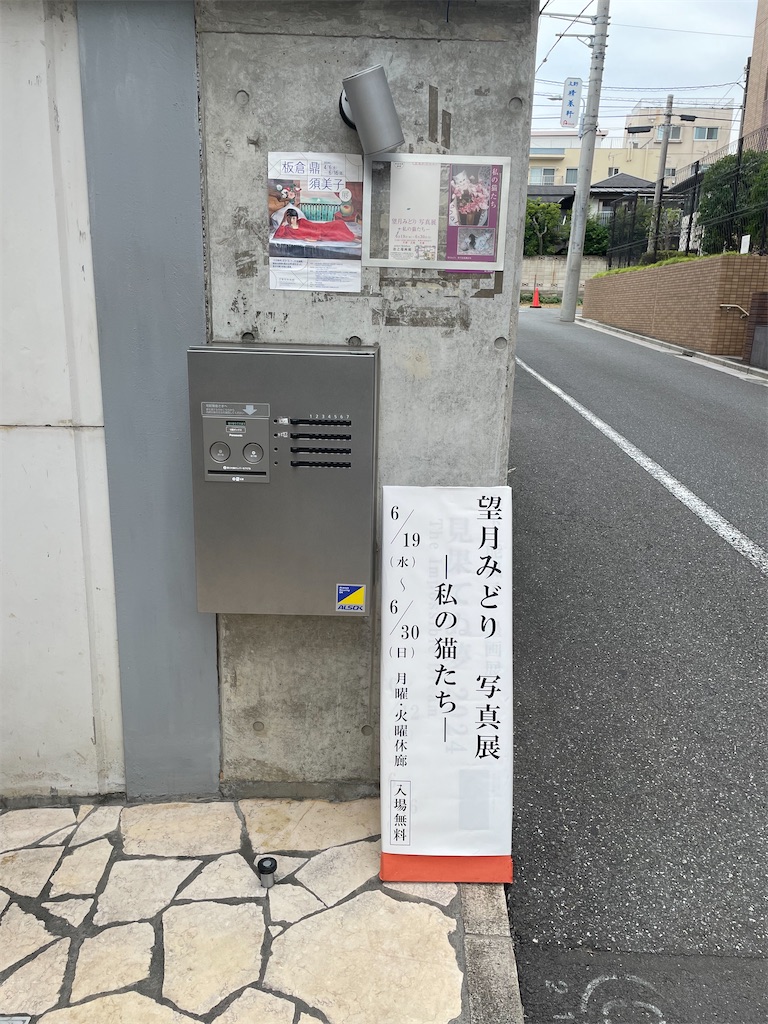 f:id:TokuheiKumagai:20240620163236j:image