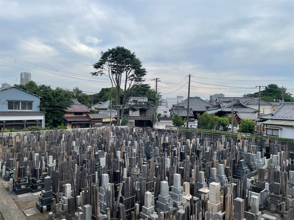 f:id:TokuheiKumagai:20240620190039j:image
