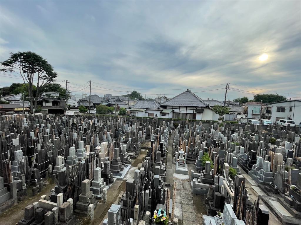f:id:TokuheiKumagai:20240620190046j:image