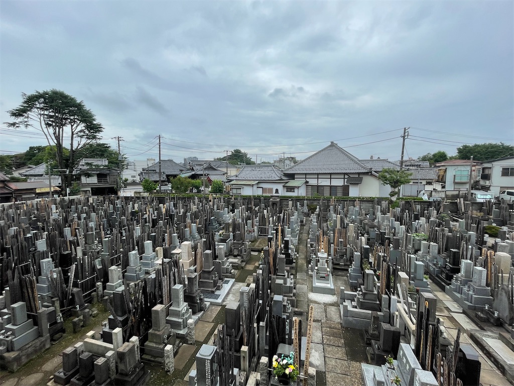 f:id:TokuheiKumagai:20240623135914j:image