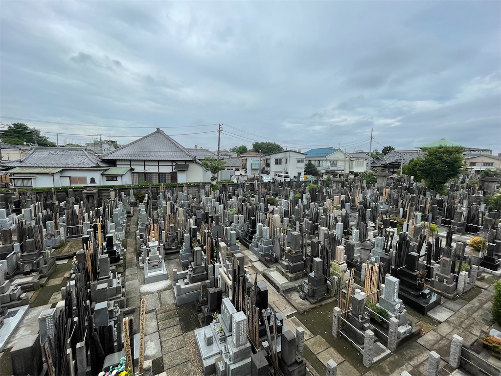 f:id:TokuheiKumagai:20240623135917j:image