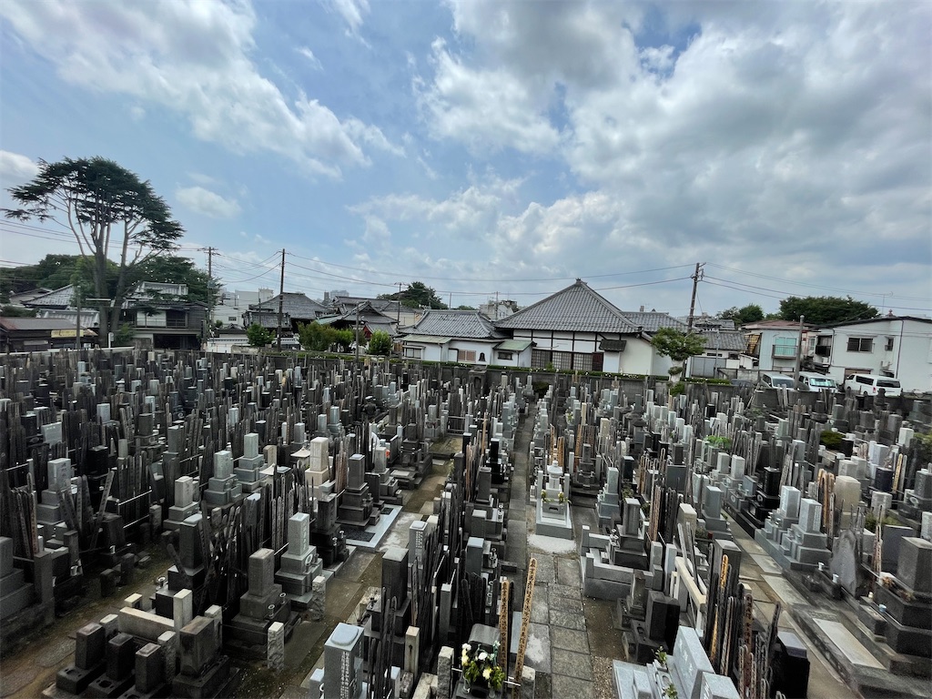 f:id:TokuheiKumagai:20240627161817j:image