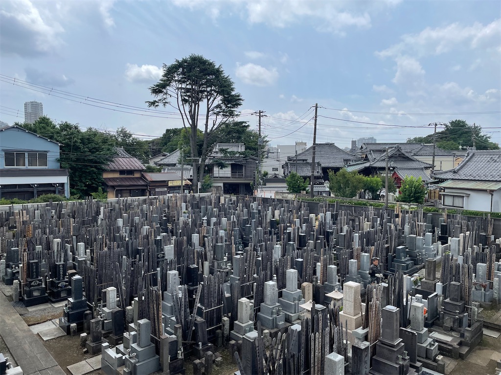 f:id:TokuheiKumagai:20240627161830j:image