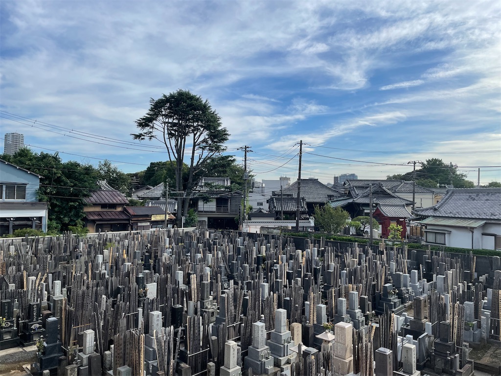 f:id:TokuheiKumagai:20240724201453j:image
