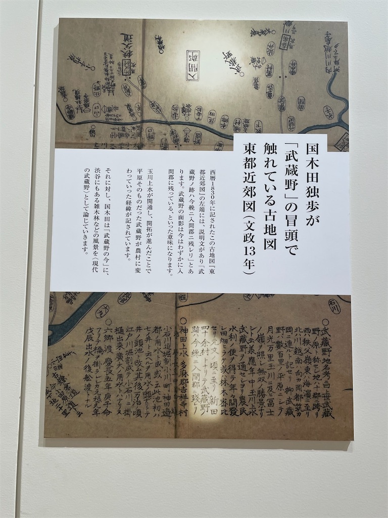 f:id:TokuheiKumagai:20240803113815j:image