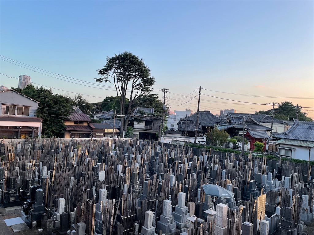 f:id:TokuheiKumagai:20240803193953j:image